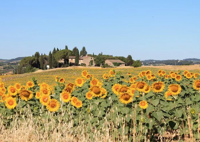 Il Poggio B&B