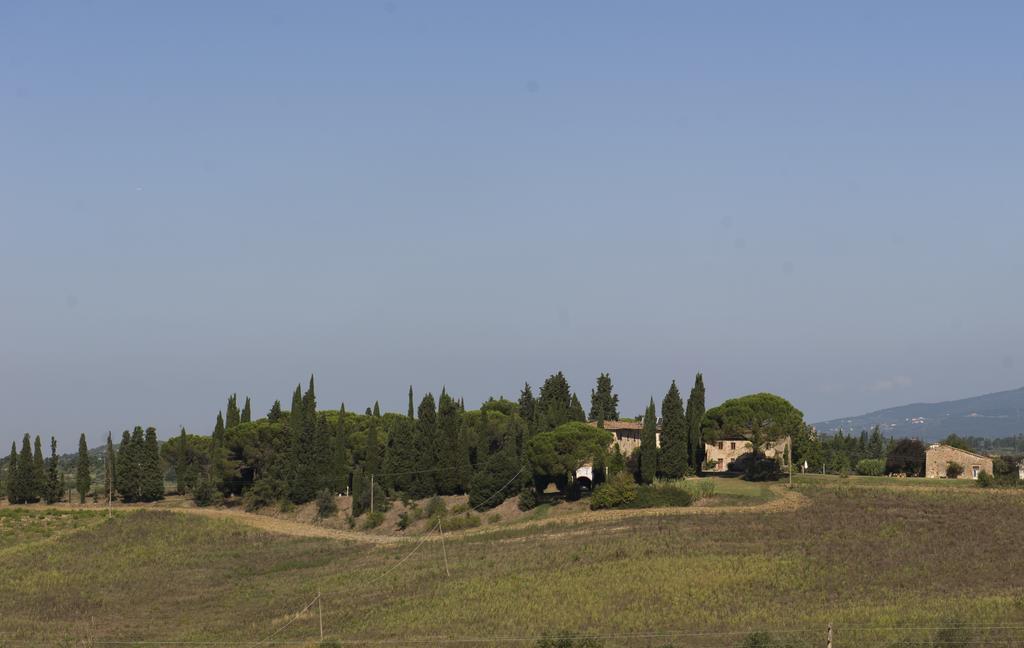 Il Poggio