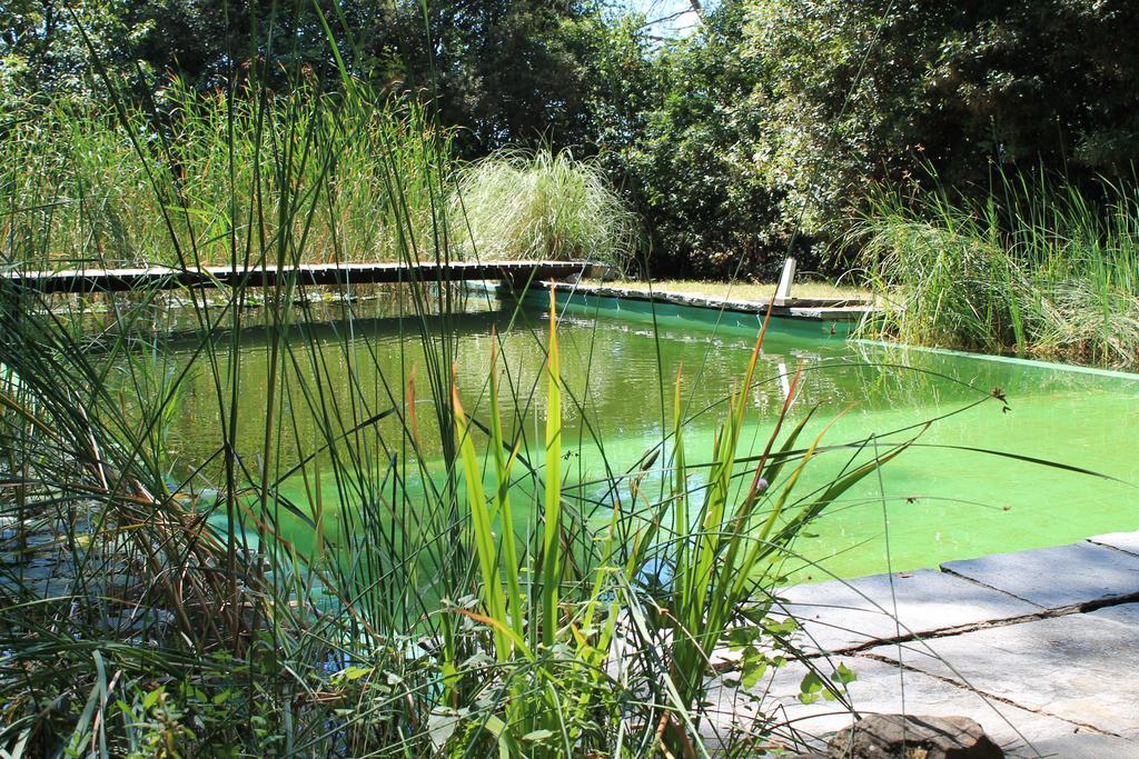 Bed & Breakfast Il Poggio