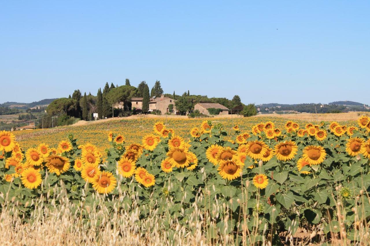 Il Poggio Bed & Breakfast Ginestra Fiorentina